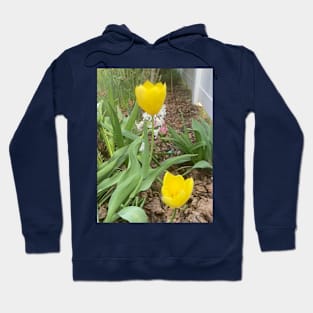 Yellow Tulips Hoodie